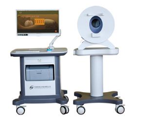 �����t�C���\����R�����x  ����